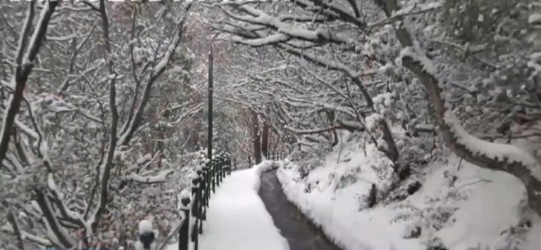 Παγετός σε όλη τη βόρεια Ελλάδα (video)