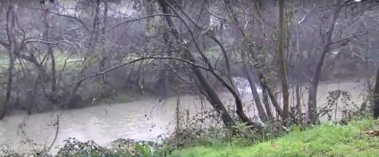 “Φούσκωσε” ο Πηνειός ποταμός από την κακοκαιρία (video)
