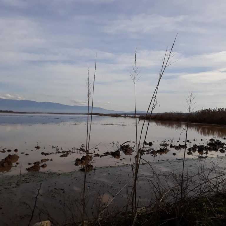 Δήμος Εμμ.Παππά : Υποβολή δηλώσεων για ζημίες σε έγγειο κεφάλαιο