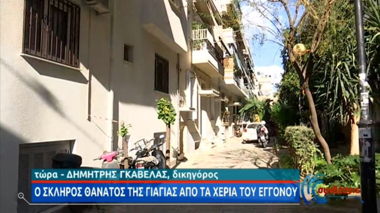 Μπορούσε να έχει αποφευχθεί ο θάνατος 82χρονης από τον εγγονό – Τι λένε οι ειδικοί