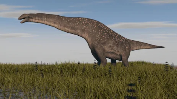 Ανακαλύφθηκε νέος γιγαντιαίος δεινόσαυρος, ίσως το μεγαλύτερο πλάσμα που έζησε στη Γη