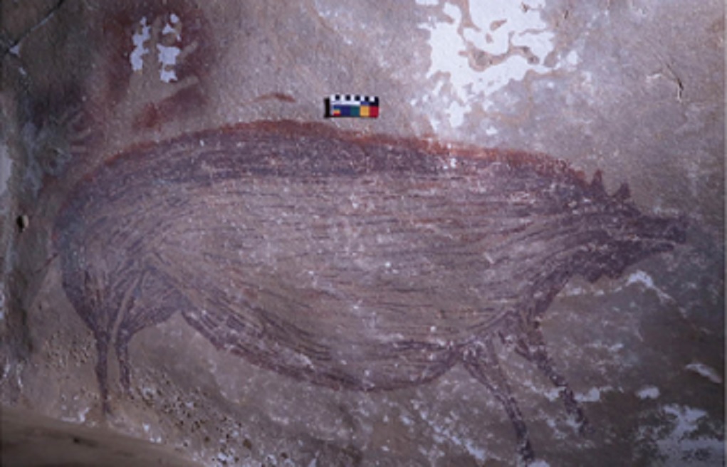 Ινδονησία: Ανακαλύφθηκε η αρχαιότερη σπηλαιογραφία ζώου στον κόσμο