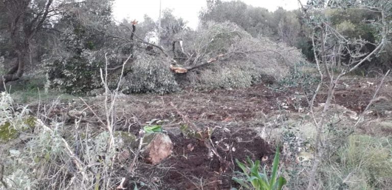 Χωρίς άδειες οι εργασίες στον Ερημίτη δηλώνει ο πρόεδρος του Ερημίτης Πλους