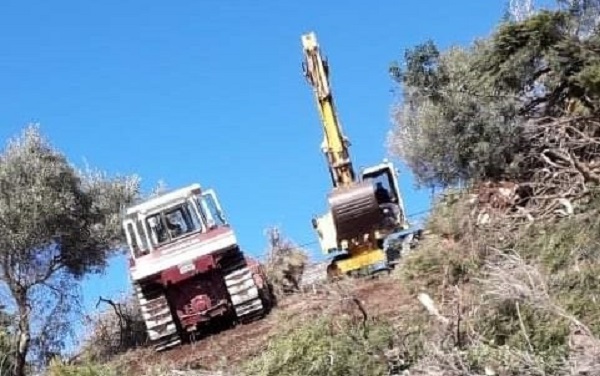 Αποψίλωση στον Ερημίτη καταγγέλλουν Χ. Κουτσούρης & Γ. Μαχειμάρης – Η απάντηση της εταιρίας (audio)