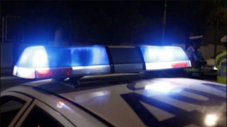 Συλλήψεις ατόμων στη Λακωνία για κλοπή και παραμέληση εποπτείας ανηλίκων