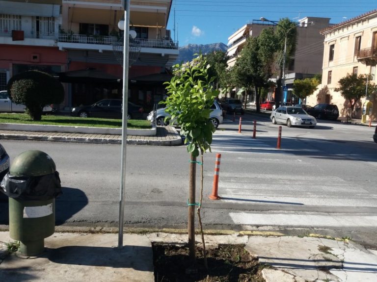 Παρεμβάσεις στο πράσινο από το δήμο της Σπάρτης