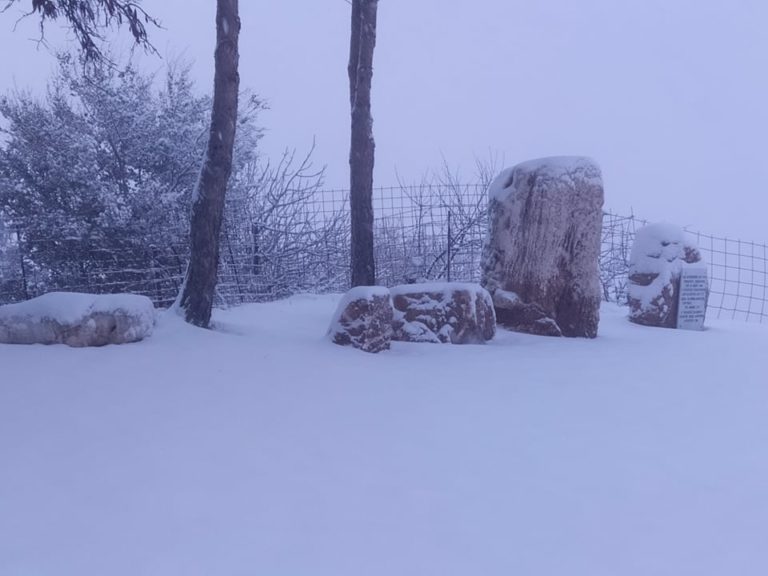 Λευκό τοπίο η ορεινή Αργολίδα- Κλειστά τα σχολεία (video)