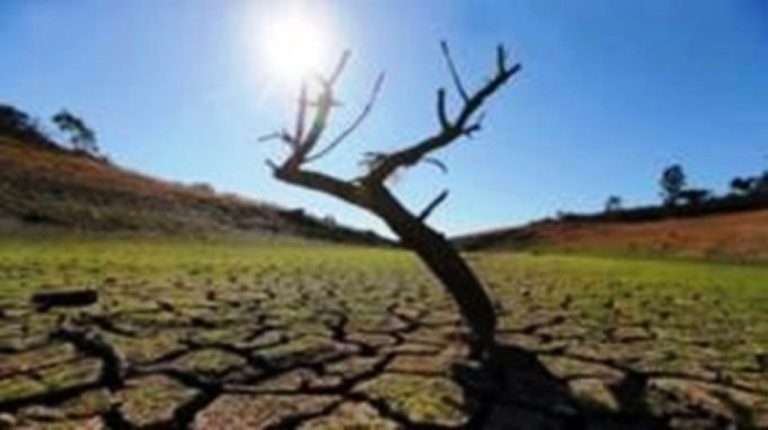 Καλαμάτα: Ενημερωτική Ημερίδα με θέμα “Προσαρμογή της Περιφέρειας Πελοποννήσου στην Κλιματική Αλλαγή”
