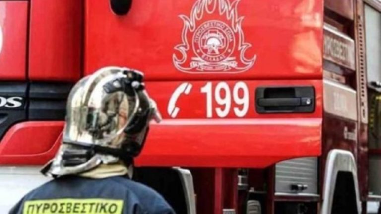 Φλώρινα: Δωρεά πέντε επιχειρησιακών φακών led στην Πυροσβεστική Υπηρεσία