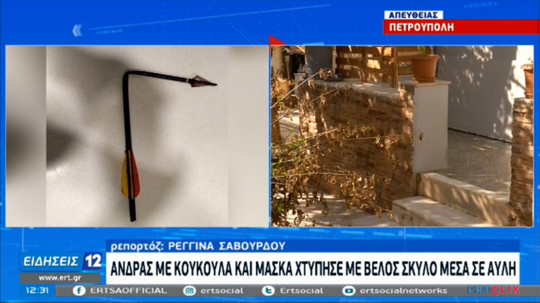 Άνδρας με σκοπευτική βαλλίστρα σκότωσε με βέλος σκύλο μέσα σε αυλή στην Πετρούπολη