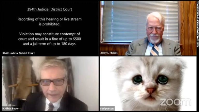«Δεν είμαι γάτα, δικαστή» είπε ο δικηγόρος — Σουρεαλιστικοί διάλογοι στο Τέξας