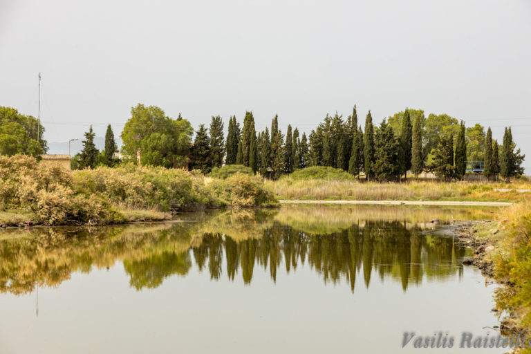 Ροδόπη: Κιρκινέζι, ένας  φτερωτός συγκάτοικος