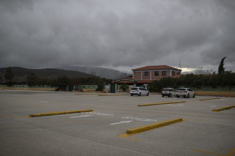 Διεθνή πρακτορεία: Το  lockdown “συμπιέζει” το Αττικό Ζωολογικό Πάρκο