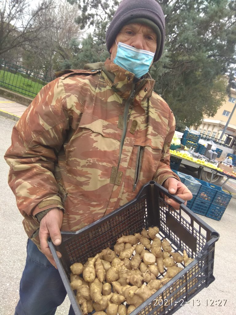 Ορεινή Ροδόπη: Καλλιέργεια τζίντζερ στην Κάτω Βυρσίνη