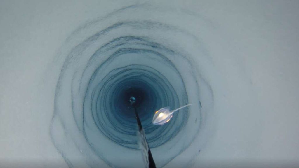 Επιστήμονες ανακάλυψαν παράξενα πλάσματα κάτω από τεράστια στρώματα πάγου στην Ανταρκτική