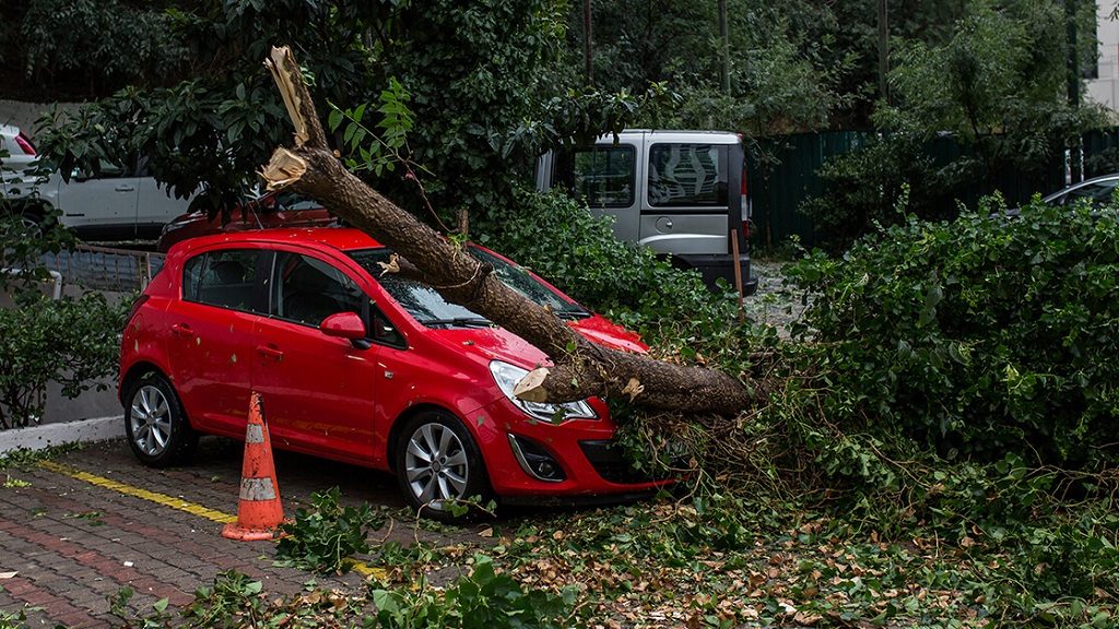 Πώς αποζημιώνονται όσοι έπαθαν ζημιές από πτώση δέντρων στα αυτοκίνητά τους (video)