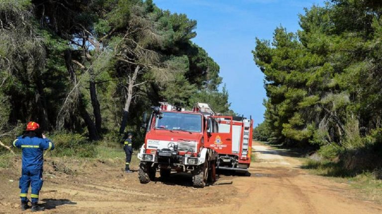 ΟΑΕΔ: 700 προσλήψεις σε δασικές υπηρεσίες μέσω του προγράμματος κοινωφελούς εργασίας