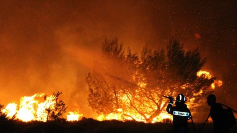 Σε 34 ανήλθαν οι δασικές πυρκαγιές που εκδηλώθηκαν το τελευταίο 24ωρο