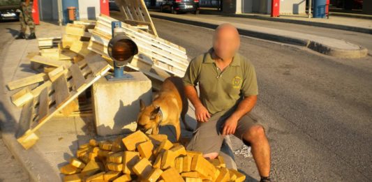 Ηγουμενίτσα: Λαγωνικά Κ9 – Η Λέσυ «αποστρατεύεται» – O Βλαντ αναλαμβάνει υπηρεσία (video)