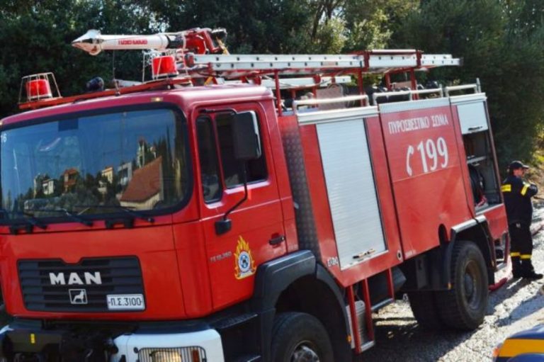 Πυρκαγιά στην περιοχή Βαθροβούνι Χαλκίδας – Μεγάλη κινητοποίηση της Πυροσβεστικής