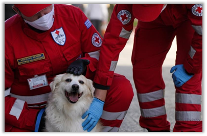 «Υπηρεσία περιπάτου για ζώα συντροφιάς» από τον Ελληνικό Ερυθρό Σταυρό