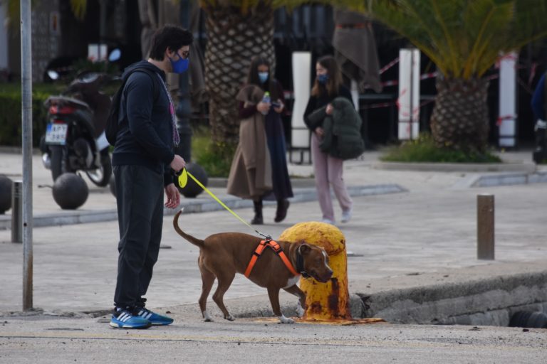 Στο “κόκκινο” από σήμερα δέκα περιφερειακές ενότητες – Τι ισχύει