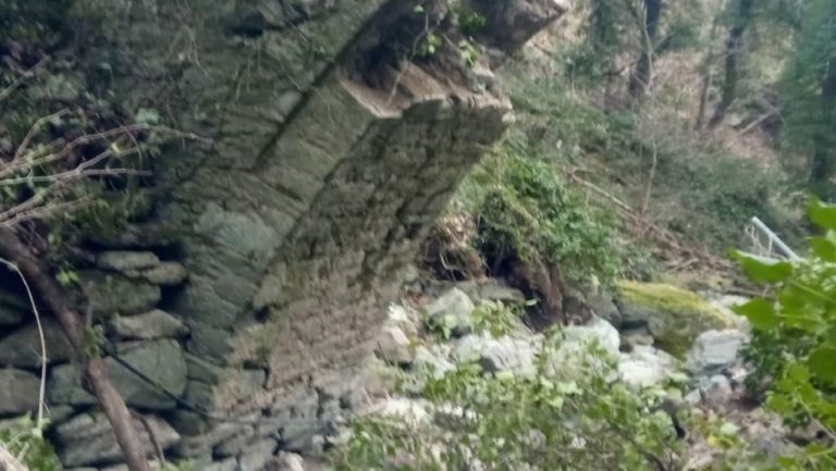 Βόλος: Κατέρρευσε το “παλιό γεφύρι” της Τσαγκαράδας μετά από πτώση πλατάνου