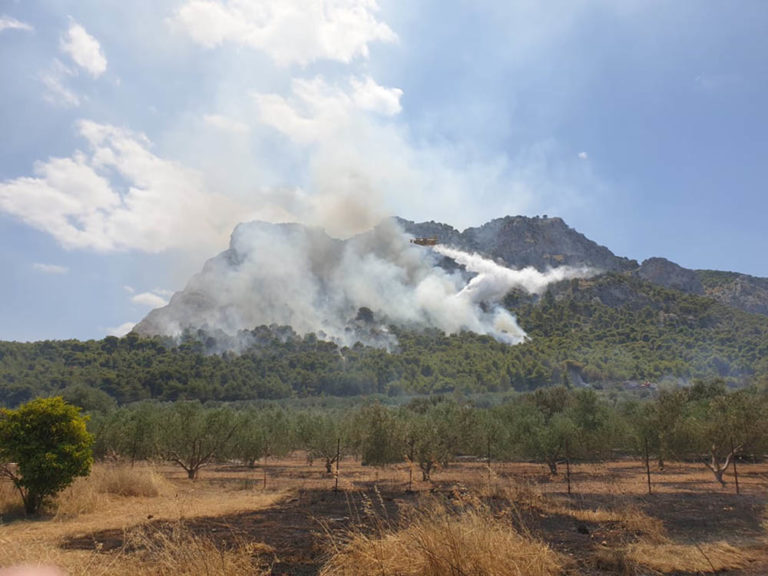 Έργα αποκατάστασης στις καμένες εκτάσεις του δήμου Κορινθίων