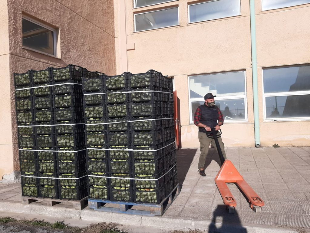 Δωρεά επτά τόνων φρούτων στις Κοινωνικές Δομές του Δήμου Κοζάνης