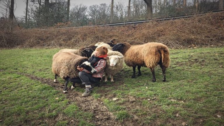 Γερμανία: “Αγκαλιάστε ένα πρόβατο” προτρέπει φάρμα σε όσους αισθάνονται μοναξιά λόγω covid (εικόνες)