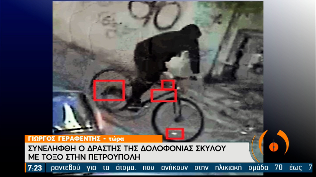 Synelhf8h O Drasths Ths Dolofonias Skyloy Me To3o Sthn Petroypolh Video Ertnews Gr