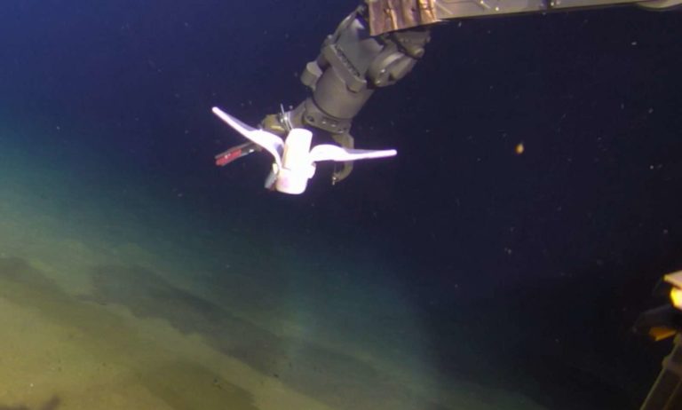 Ένα μαλακό ρομπότ κολύμπησε στον βαθύτερο ωκεανό – Δείτε video