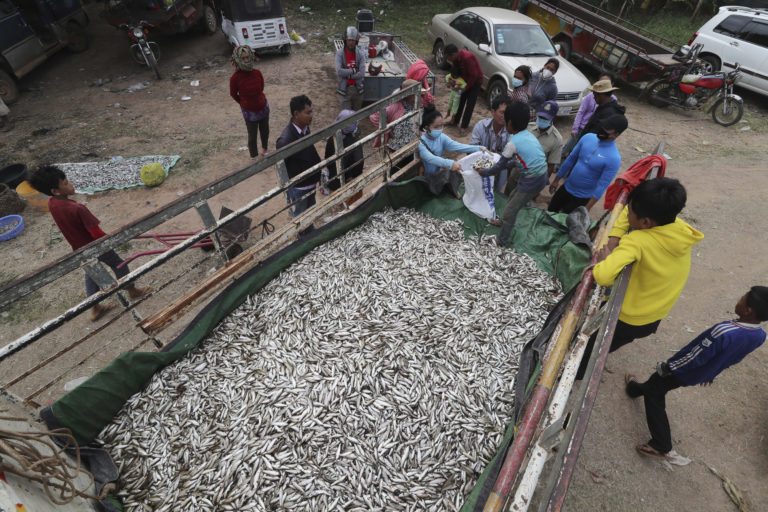 Guardian-Έρευνα: Μεγάλη απάτη με τα ψάρια σε παγκόσμια κλίμακα