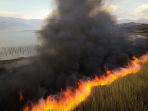 Βεγορίτιδα Φλώρινας: Καταστροφή του οικοσυστήματος καταγγέλλει ο Σύλλογος Προστασίας της Λίμνης Βεγορίτιδας (video)