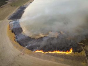 Βεγορίτιδα Φλώρινας: Καταστροφή του οικοσυστήματος καταγγέλλει ο Σύλλογος Προστασίας της Λίμνης Βεγορίτιδας (video)