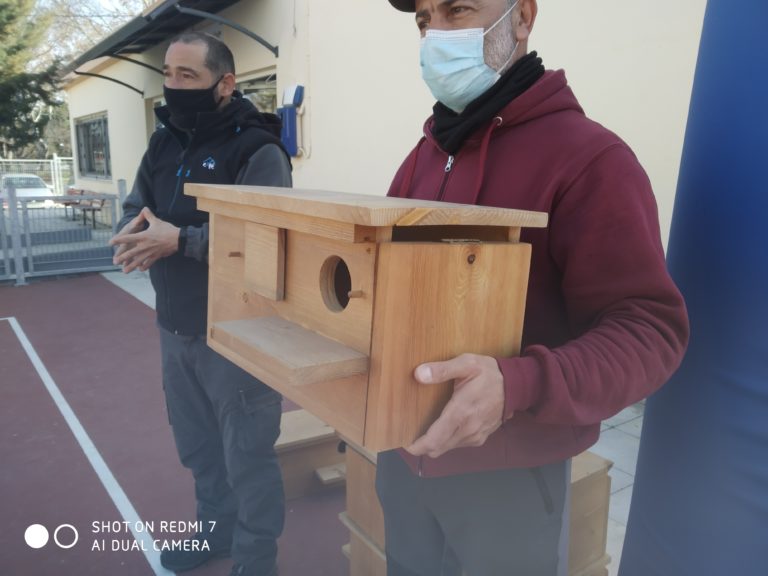 Κομοτηνή: Εκπαιδευτική δράση με σκοπό την προστασία του πουλιού Κιρκινέζι