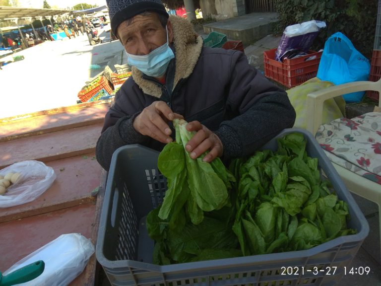 Δράση μεταφύτευσης και σποράς λαχανικών από τους Σπορίτες