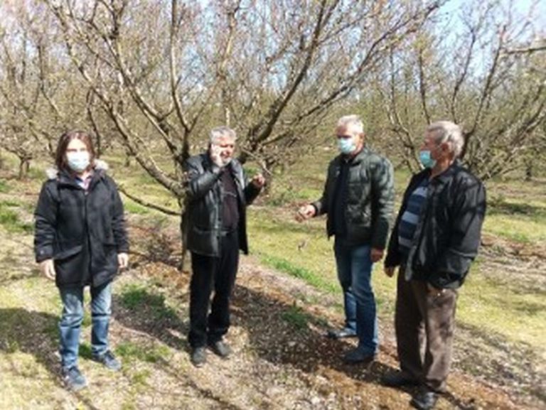 Στις παγετόπλκητες περιοχές του δήμου Τεμπών κλιμάκιο του ΣΥΡΙΖΑ Λάρισας