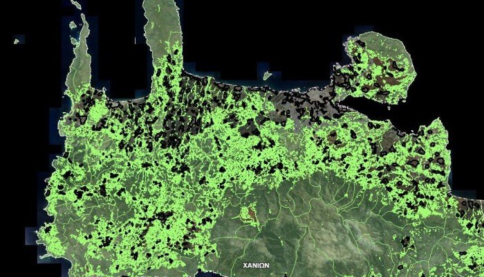Χανιά: Διακοπή της διαδικασίας ανάρτησης των δασικών χαρτών θα ζητήσει ο αντιπεριφερειάρχης