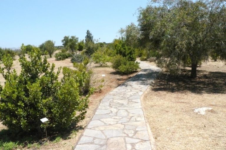 Το Πολυτεχνείο Κρήτης «έκλεισε» το πάρκο Χλωρίδας και Πανίδας