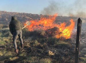 Λέσβος: Φωτιά στο Απολιθωμένο Δάσος στο Σιγρί