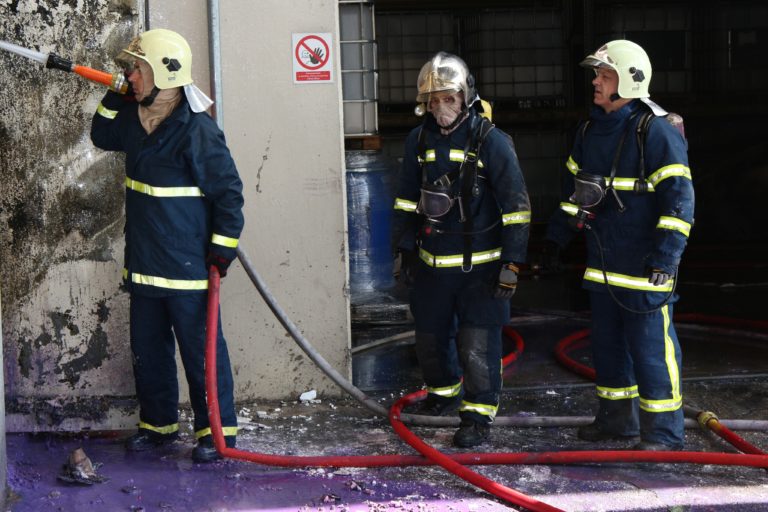 Κάηκαν ελαιόδενδρα και αποθήκη στο Κρόκιο Αλμυρού