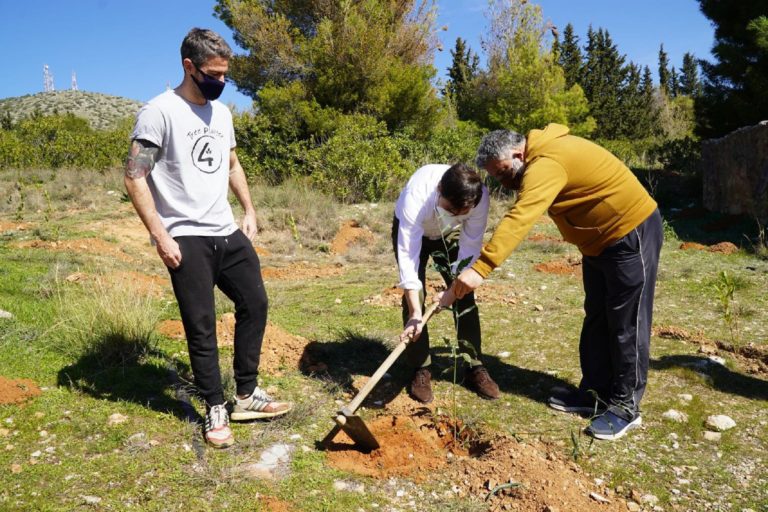 Mεγάλη δενδροφύτευση στην περιοχή του Δάσους Χαϊδαρίου