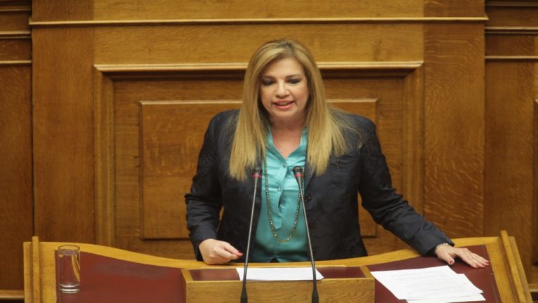 Κριτική στην Κυβέρνηση απο την Φ. Γεννηματά σε διαδικτυακή συζήτηση με φορείς της Δωδ/σου