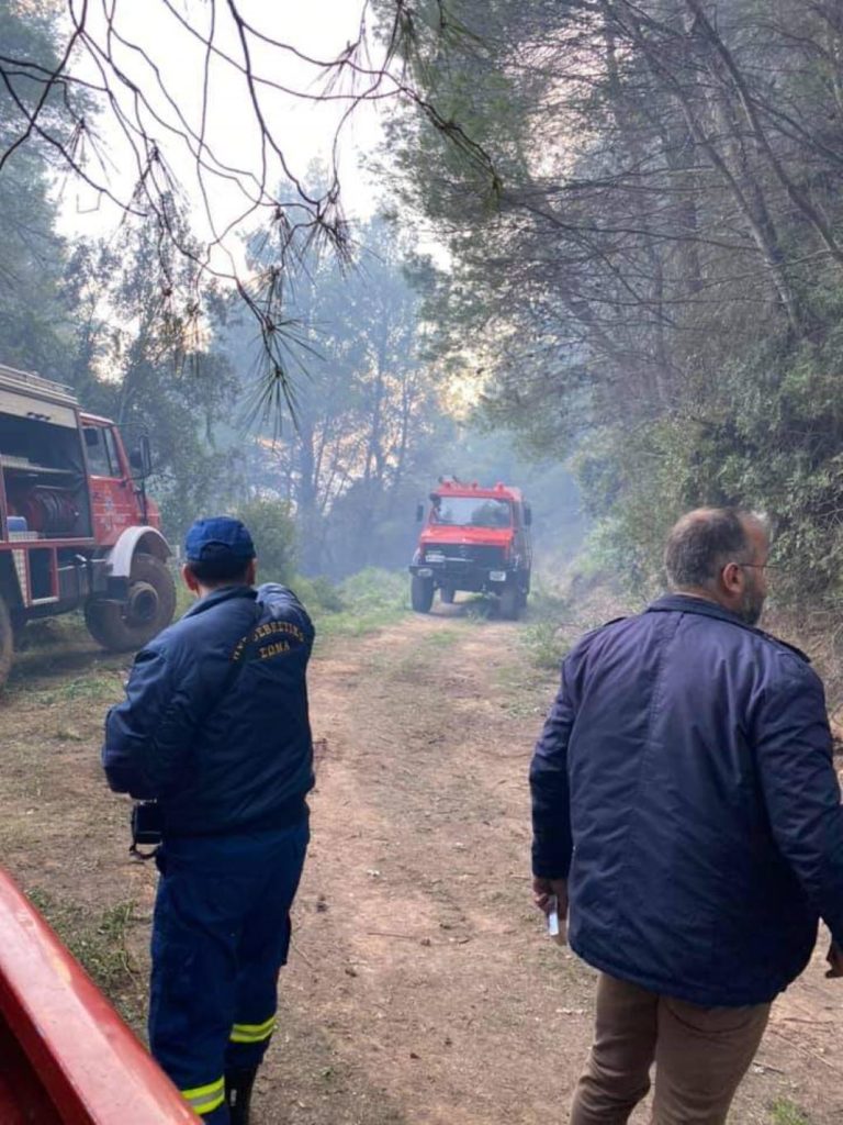 Σε έλεγχο πλέον η πυρκαγιά της Γορτυνίας