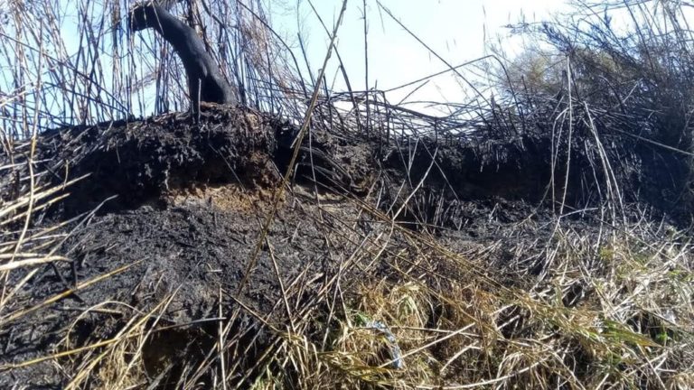 Κέρκυρα: Φωτιά σε καλάμια στο Τρίκλινο
