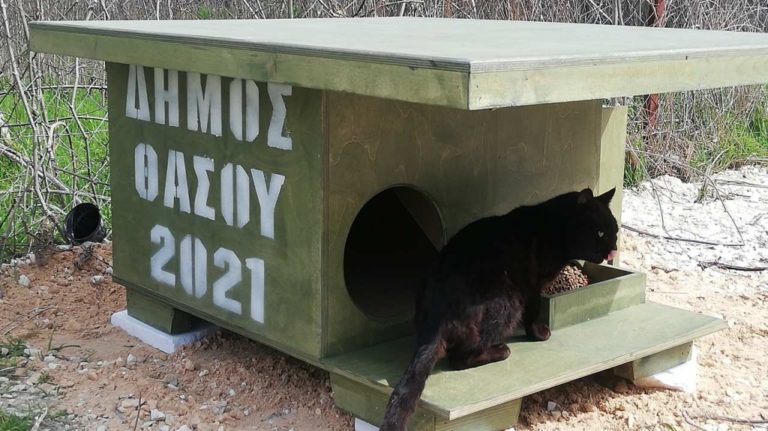 Καβάλα: Μικρά σπίτια φιλοξενίας αδέσποτων ζώων στη Θάσο