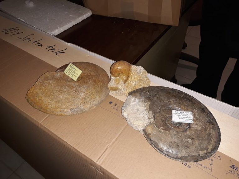 Πολύτιμη συλλογή απολιθωμάτων απέκτησε ο Δήμος Ρεθύμνης