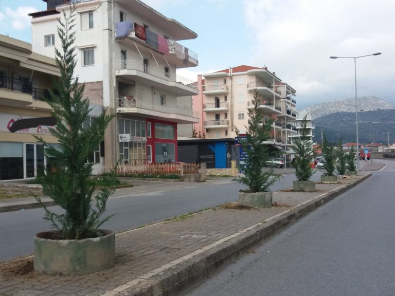 Νέα δέντρα στις νησίδες δρόμων της Τρίπολης
