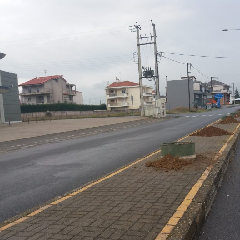 Φυτεύσεις δένδρων σε νησίδες δρόμων και σε πλατείες της Τρίπολης